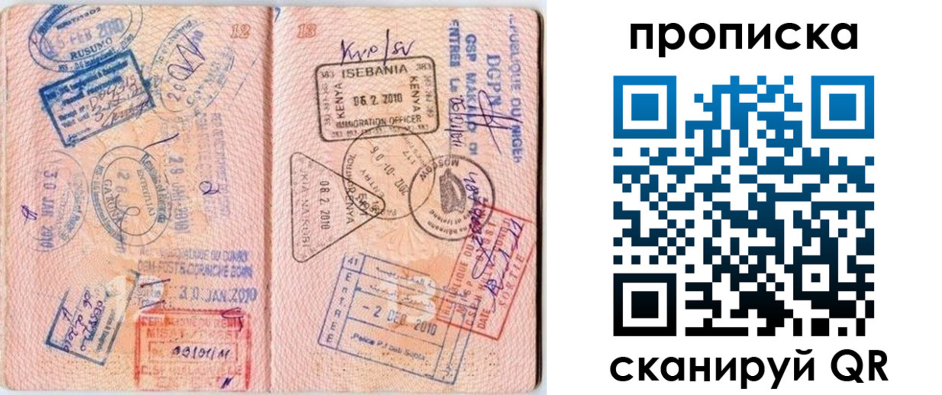 прописка для школы в Электростали